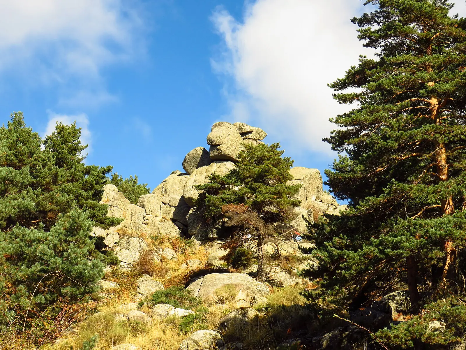 Peña del Arcipreste de Hita entre pinos